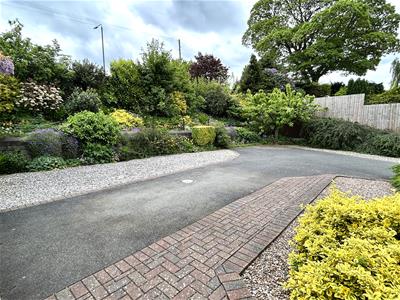 Picture 21